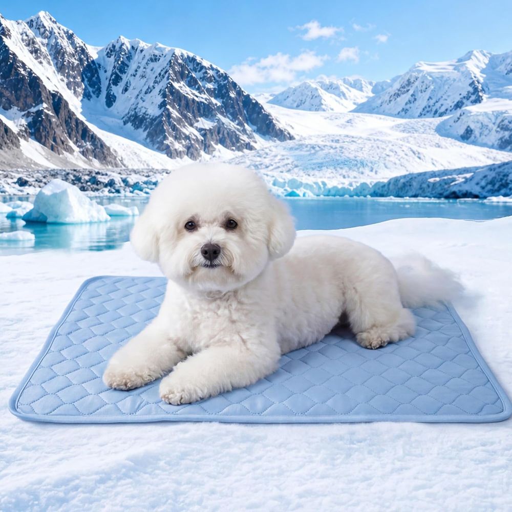 Dog Cooling Mat - แผ่นรองทำความเย็นสำหรับสุนัขขนาดเล็ก ลูกสุนัข และแมว ขนาด 22x28 นิ้ว