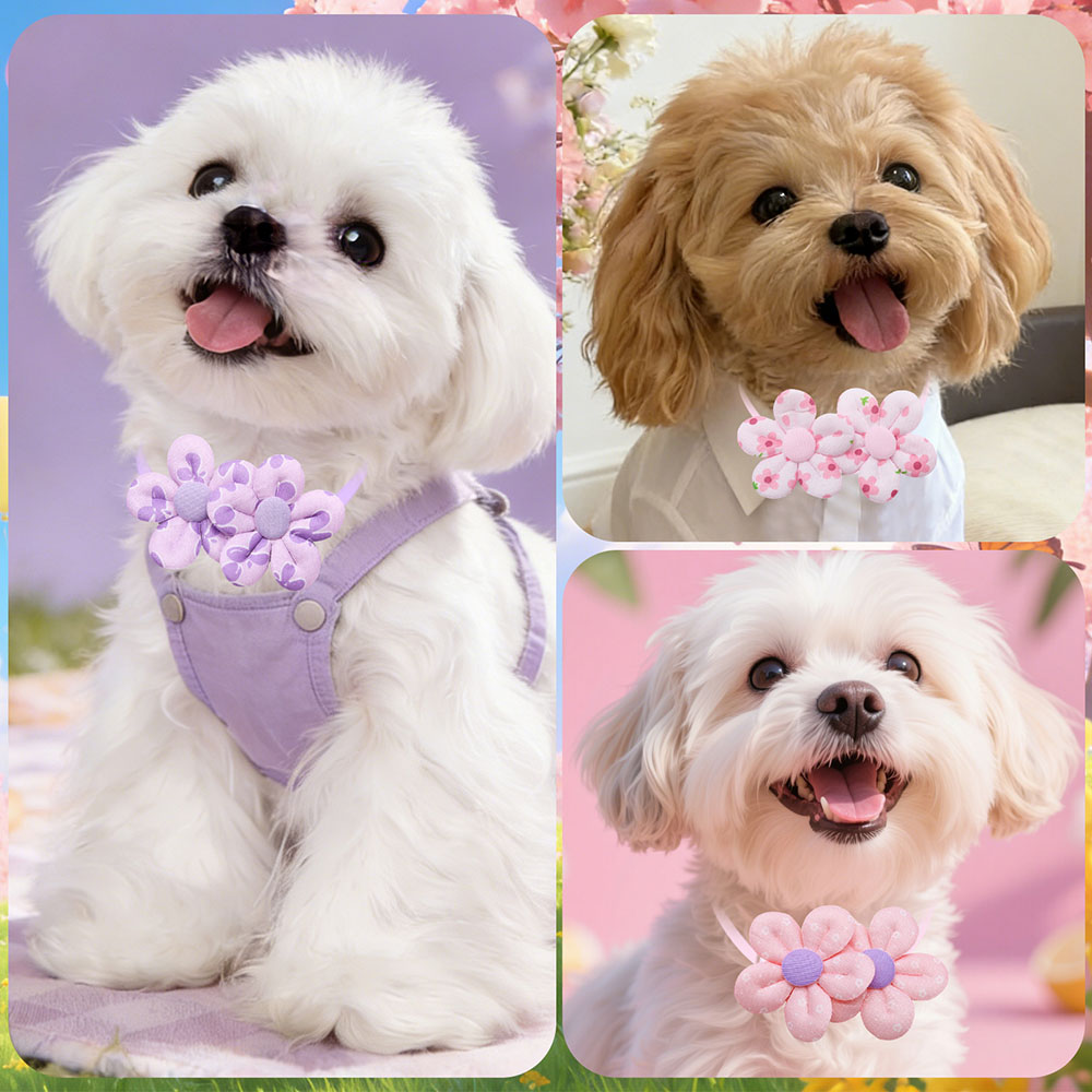 โบว์ผูกคอรูปดอกไม้ 10 ชิ้น สำห - Pet Supplies Co บทวิจารณ์และราคา