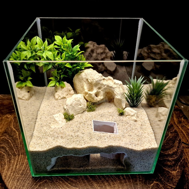 ของตกแต่งตู้ปลาแบบ 3 มิติ รูปท - Pet Supplies Online บทวิจารณ์และราคา