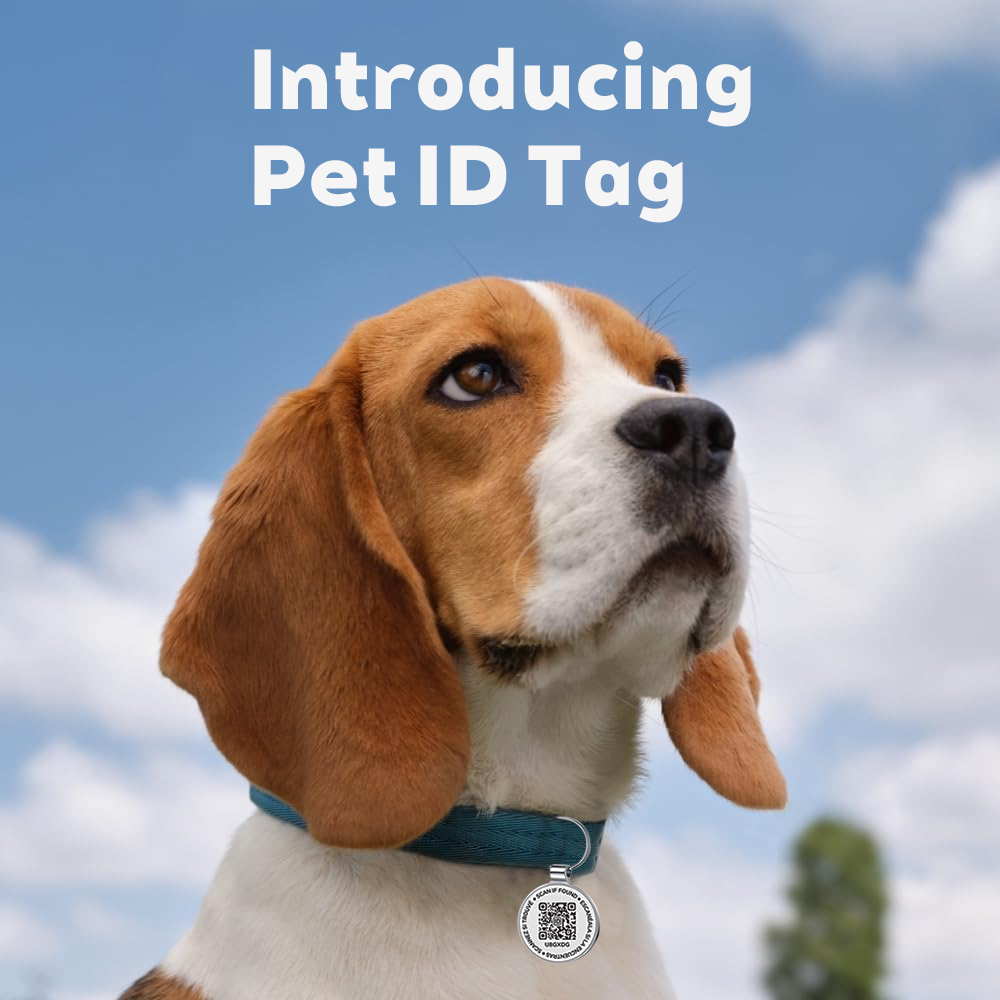 ป้ายห้อยคอสัตว์เลี้ยงแบบ QR ID - Pet Supplies Online บทวิจารณ์และราคา