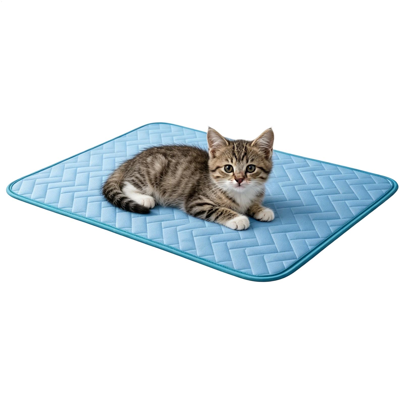 แผ่นรองทำความเย็นสำหรับสุนัข แ - Dog Cooling Mat บทวิจารณ์และราคา