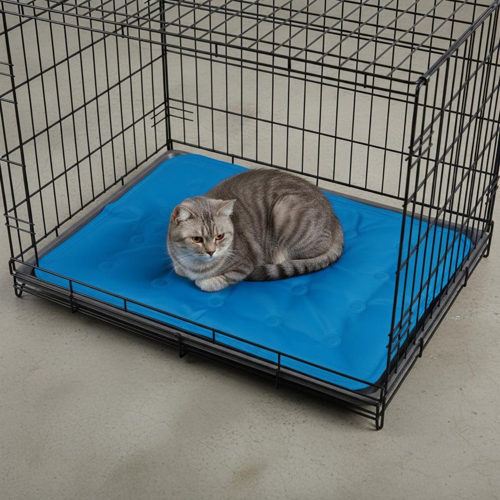 แผ่นเจลทำความเย็นสำหรับสัตว์เล - Dog Cooling Mat บทวิจารณ์และราคา