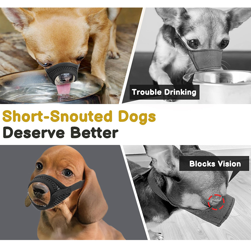 ตะกร้อครอบปากแบบตาข่ายสำหรับสุ - Pet Supplies Co บทวิจารณ์และราคา