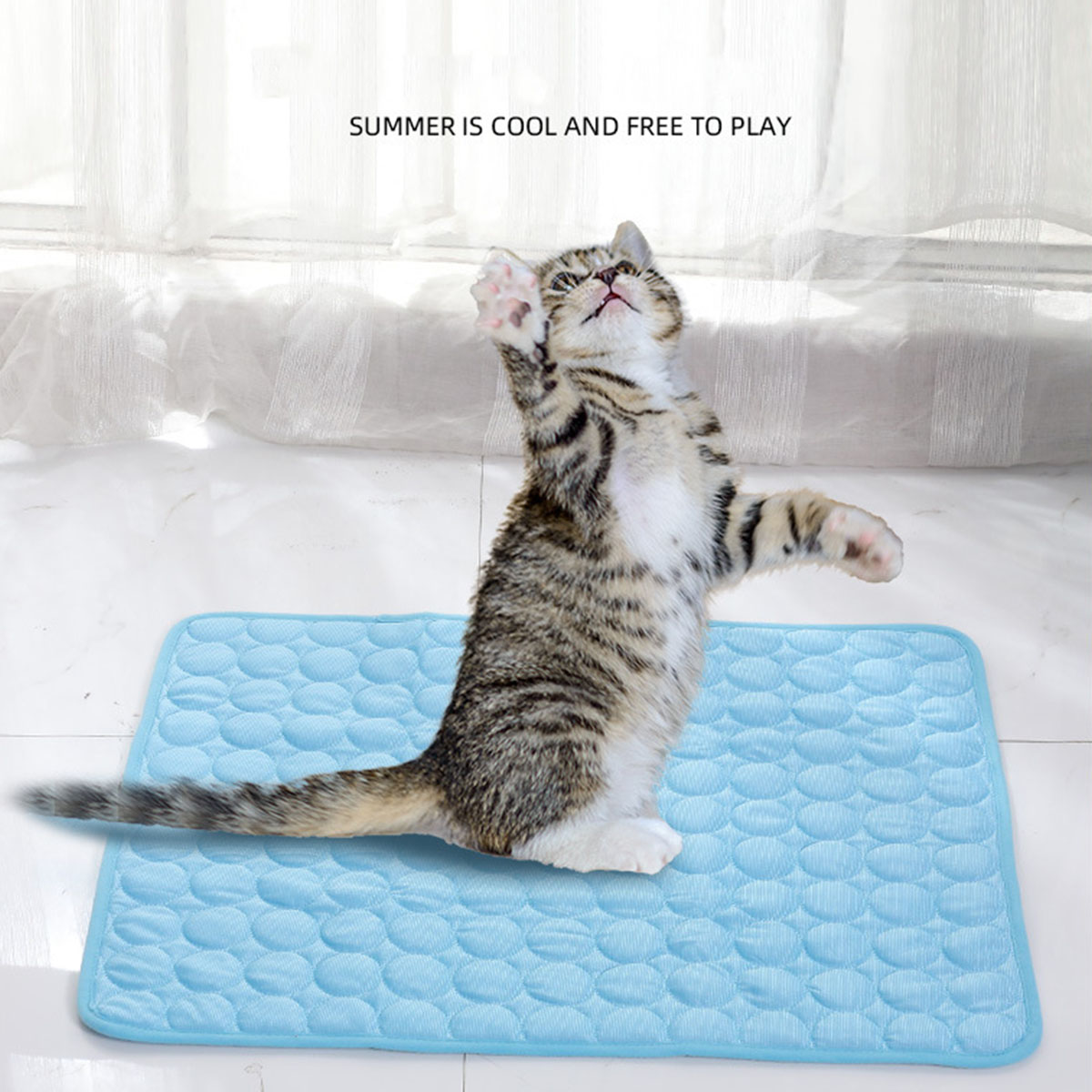 แผ่นรองนอนเย็นสำหรับสัตว์เลี้ย - Dog Cooling Mat บทวิจารณ์และราคา