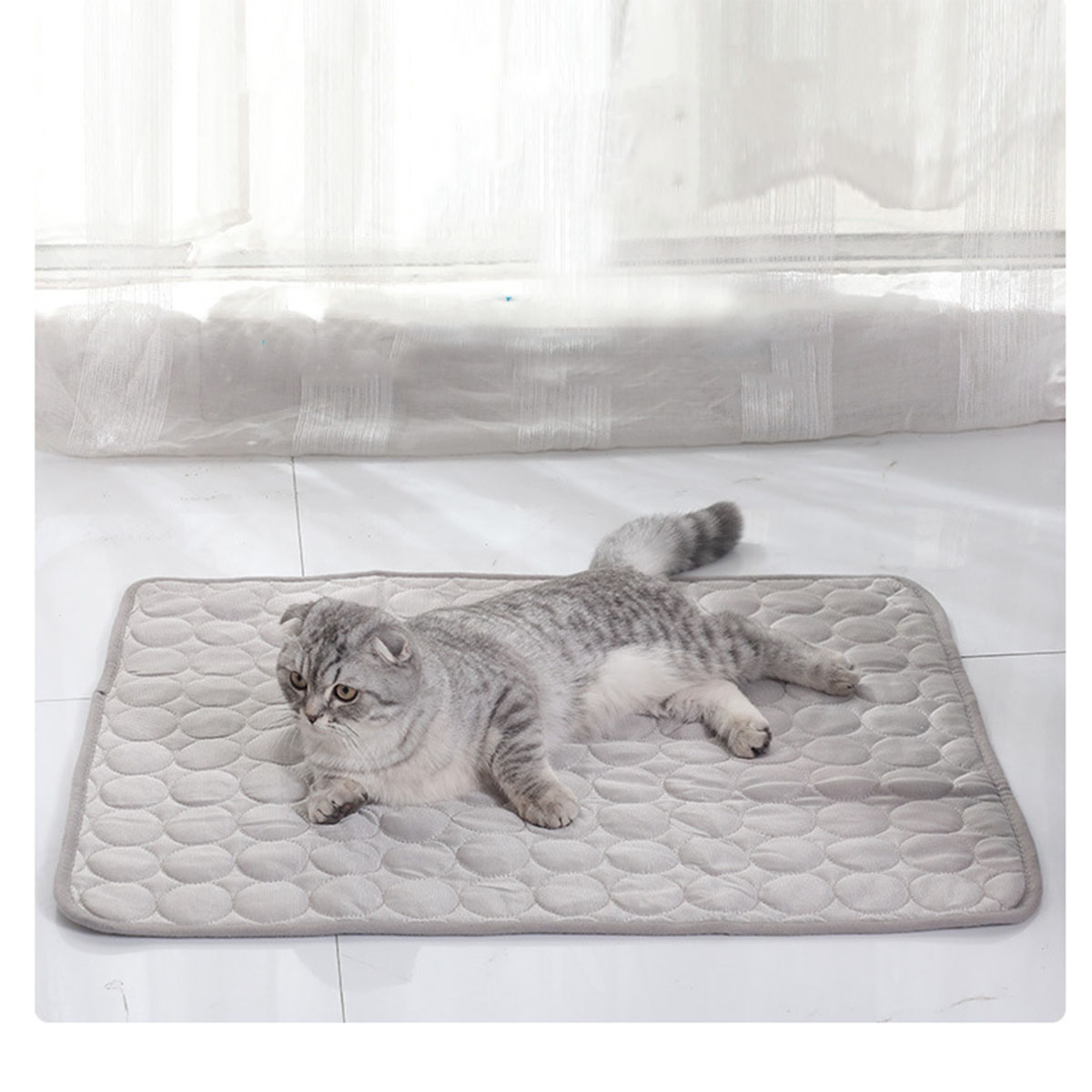 แผ่นรองนอนเย็นสำหรับสัตว์เลี้ย - Dog Cooling Mat บทวิจารณ์และราคา