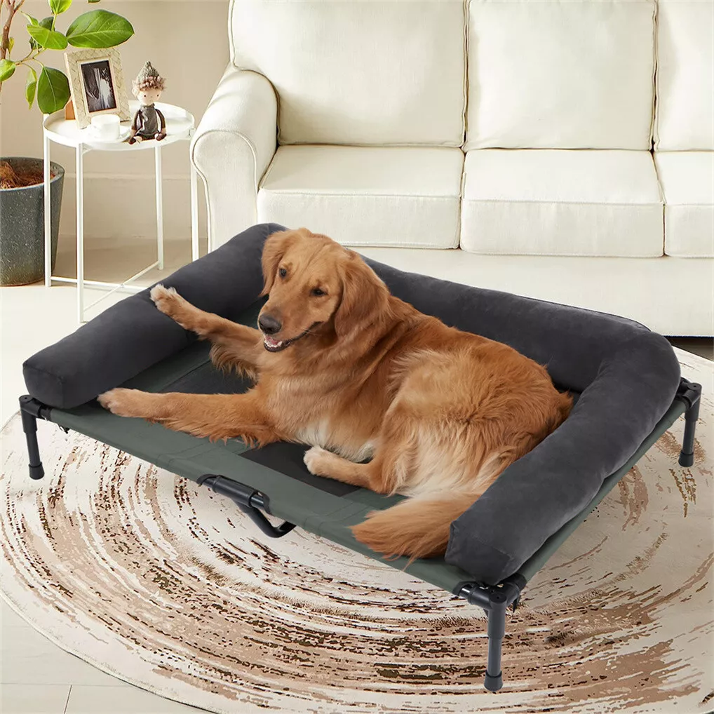 เตียงนอนสุนัขกลางแจ้ง BINGOPAW - Dog Cooling Mat บทวิจารณ์และราคา