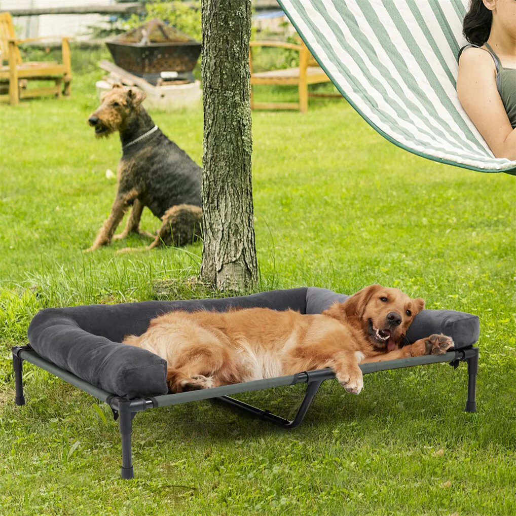 เตียงนอนสุนัขกลางแจ้ง BINGOPAW - Dog Cooling Mat บทวิจารณ์และราคา