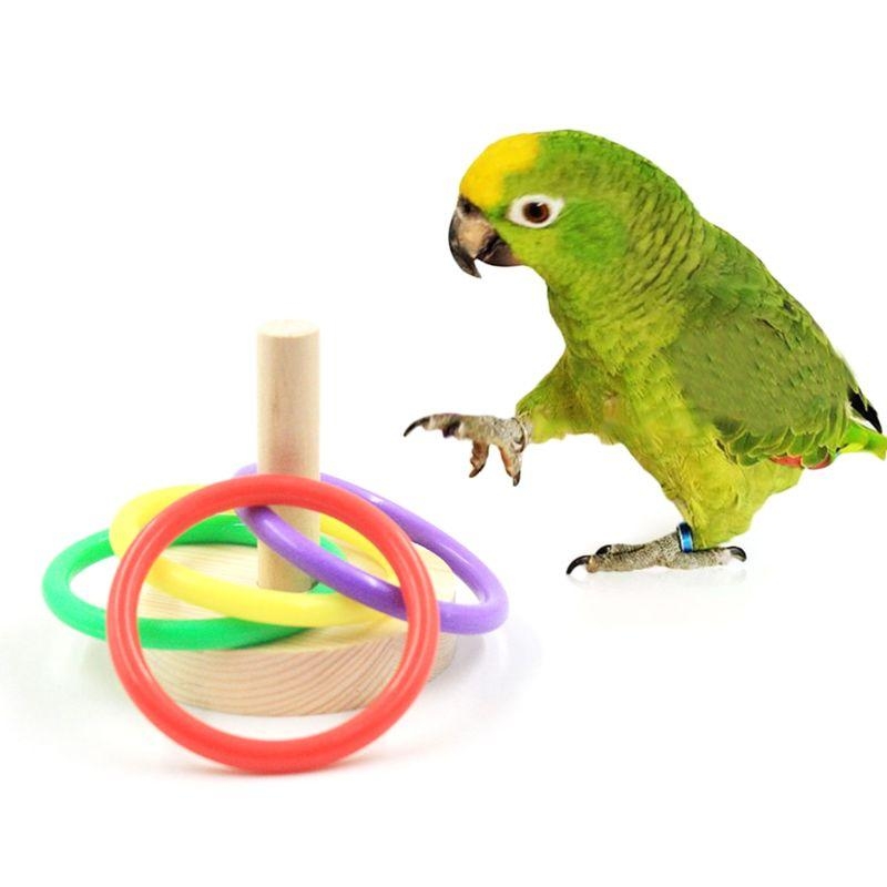 นกนกแก้วแพลตฟอร์มไม้แหวนพลาสติ - Pet Supplies Ringwood บทวิจารณ์และราคา