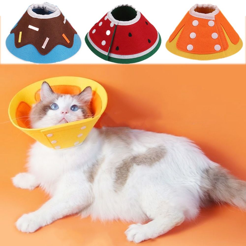 ปลอกคอเอลิซาเบธแบบนุ่มใช้งานได - Pet Supplies Ringwood บทวิจารณ์และราคา