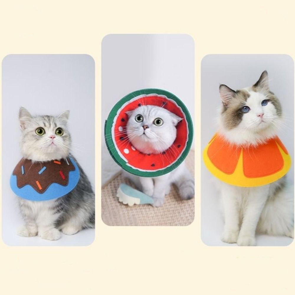 ปลอกคอเอลิซาเบธแบบนุ่มใช้งานได - Pet Supplies Ringwood บทวิจารณ์และราคา