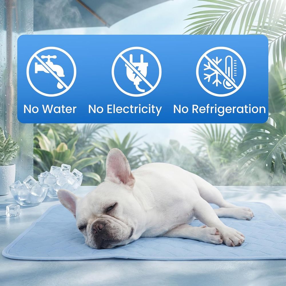 แผ่นรองทำความเย็นสำหรับสุนัขขน - Dog Cooling Mat บทวิจารณ์และราคา