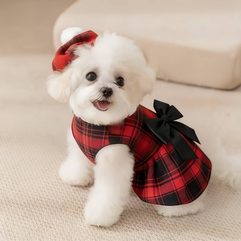 เสื้อผ้าสุนัขลายสก็อต ชุดสูทผู - Pet Supplies Co บทวิจารณ์และราคา