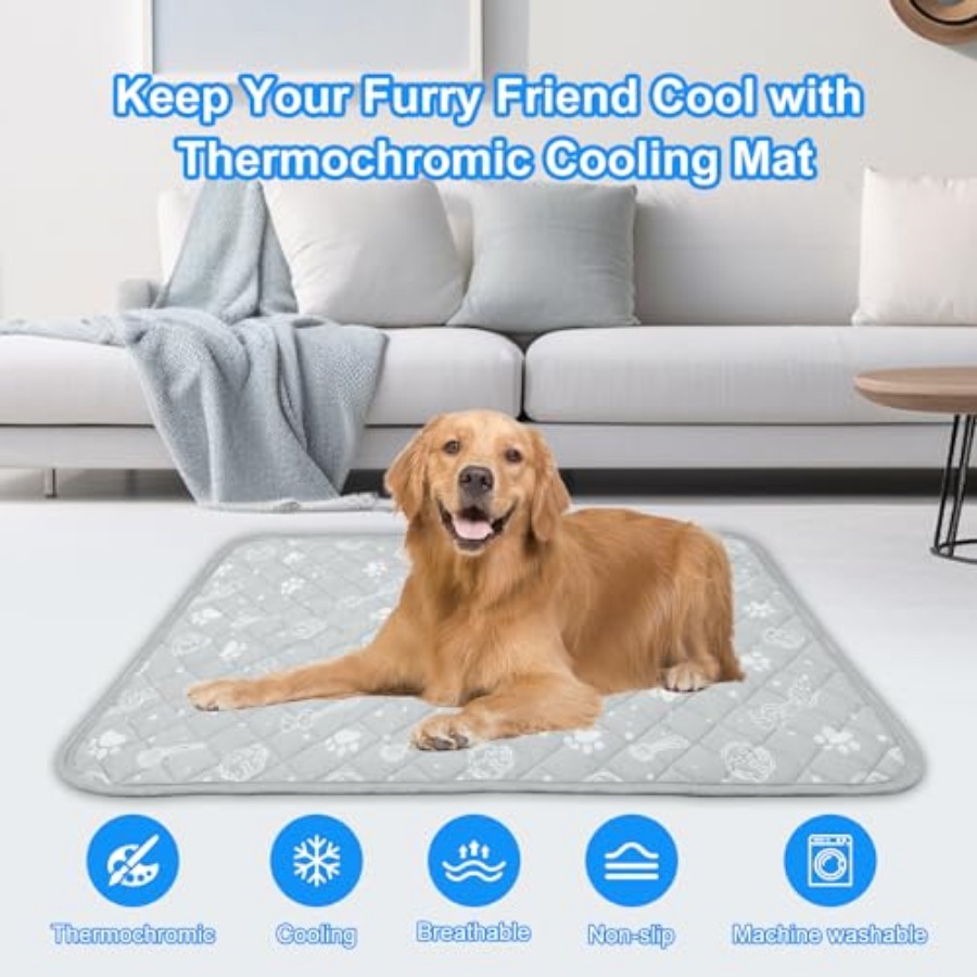 แผ่นรองทำความเย็นสำหรับสุนัข ข - Dog Cooling Mat บทวิจารณ์และราคา