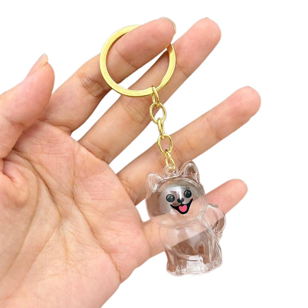 จี้เก็บขนสัตว์เลี้ยง กล่องเก็บ - Pet Supplies Stores บทวิจารณ์และราคา