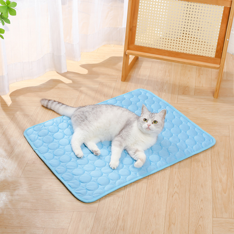 แผ่นรองทำความเย็นสำหรับสัตว์เล - Dog Cooling Mat บทวิจารณ์และราคา