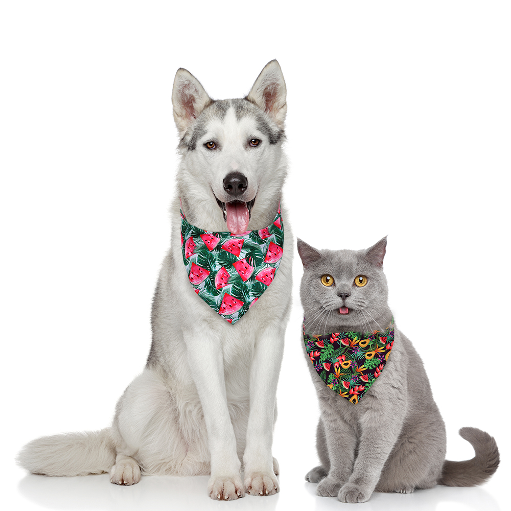 50 ชิ้นผ้าพันคอสุนัขฤดูร้อนผลไ - Pet Supplies Co บทวิจารณ์และราคา
