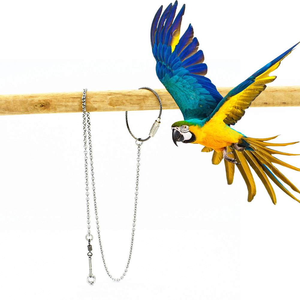 1 ชิ้นสัตว์เลี้ยง Parrot แหวนข - Pet Supplies Ringwood บทวิจารณ์และราคา