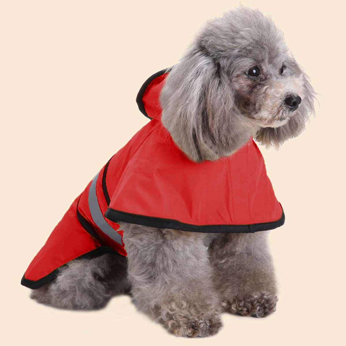 ฤดูใบไม้ผลิฤดูร้อนกันน้ําสะท้อ - Pet Supplies Co บทวิจารณ์และราคา