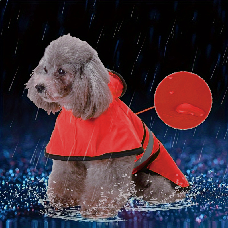 ฤดูใบไม้ผลิฤดูร้อนกันน้ําสะท้อ - Pet Supplies Co บทวิจารณ์และราคา