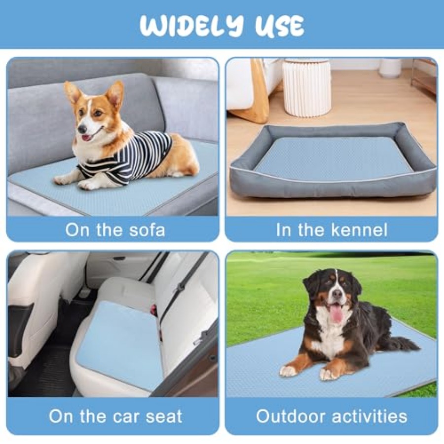 แผ่นรองทำความเย็นสำหรับสุนัขใน - Dog Cooling Mat บทวิจารณ์และราคา